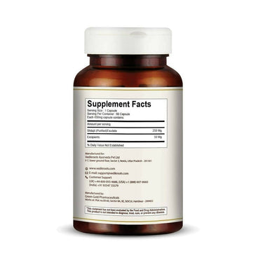 https://cdn.shopify.com/s/files/1/1857/6931/products/eicFMGgcgO.jpg?v=1694428319